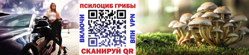 Купить Светлогорск Галлюциногенные грибы Magic Shrooms